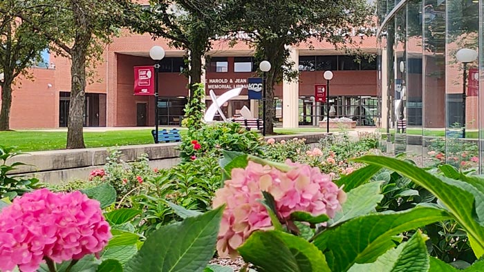 Hydrangeas in the forefront of the KCC courtyard