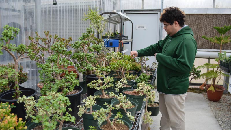 A student maintaining plants at a greenhouse