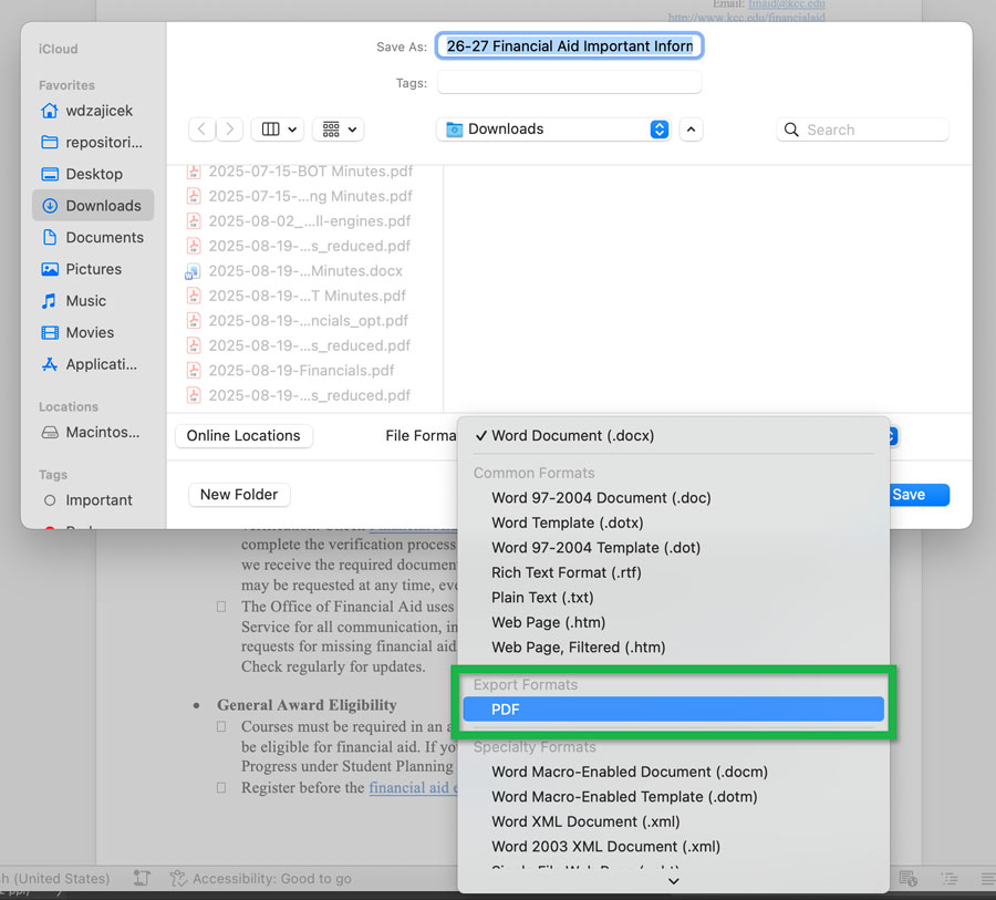 Screenshot of the open 'File' menu with 'Save As...' highlighted